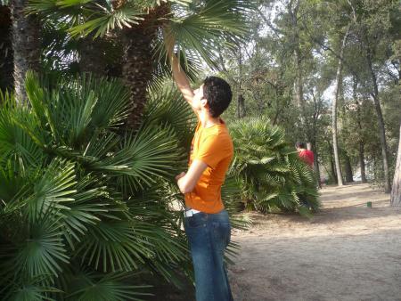 hamza jouied